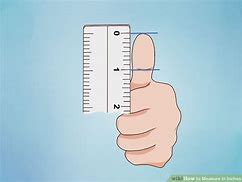 Image result for Things You Measure in Inches