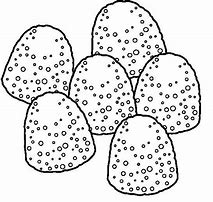 Image result for Fake Gumdrops