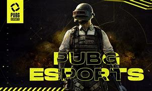 Image result for Pubg eSports