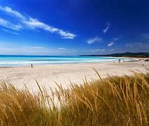 Image result for spiaggia