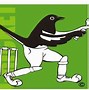 Image result for Bangladesh Cricket Team