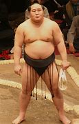 Image result for Mongolian Sumo Wrestler