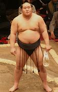 Image result for Sumo Wrestler Eating