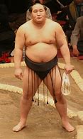 Image result for Fat Sumo Wrestling