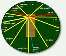 Image result for Cricket Batting Drills