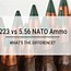 Image result for 223 vs 5.56 NATO Ammo