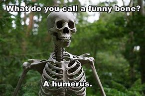 Image result for Funny Bone Memes