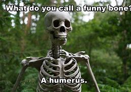 Image result for Skeleton Meme