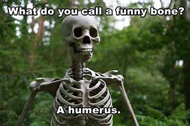 Image result for Funny Skeleton Salesman