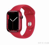 Image result for Apple Watch SE Band White On Wrist