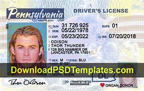 Image result for PA Drivers License Template