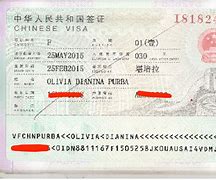 Image result for China Visa Photo Examples