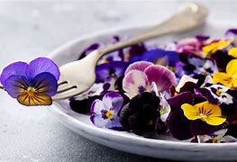 Image result for Edible Flower Craft
