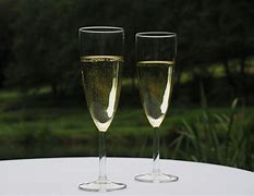 Image result for Images of Champagne Glasses Toasting