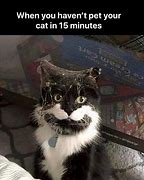Image result for Cat Pat Meme