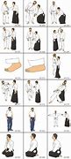 Image result for Aikido Basic Moves