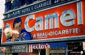 Image result for Times Square Camel Sign