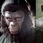 Image result for City of Nomads Planet of the Apes