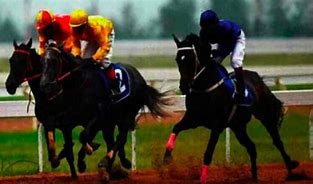 Image result for Horse Racing