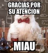 Image result for Gracias Meme Chems