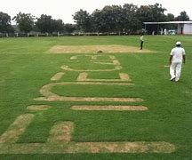 Image result for Cricket Nature Ground Mumbai