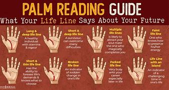 Image result for Basic Palm Reading Chart