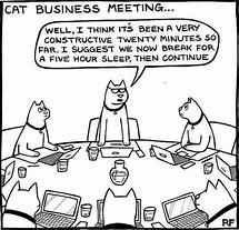 Image result for Business Cat Blank Meme