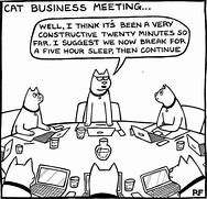 Image result for Cat Memes About Work