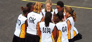 Image result for Primary School Netball