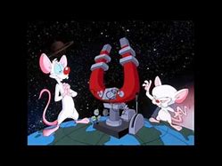 Image result for Pinky and the Brain Theme
