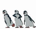 Image result for Dancing Penguin Emoticon