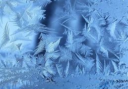 Image result for Frozen Flower Wallpaper