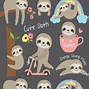 Image result for Sloth Animal Wallpaper