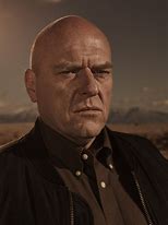 Image result for Hank Breaking Bad Character