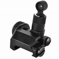 Image result for Rear Iron Sight