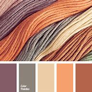 Image result for Warm Brown and Orange Paint Colors