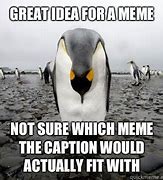 Image result for Sad Penguin Meme