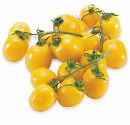 Image result for Tomato