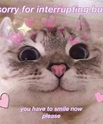 Image result for Cute Memes for Her