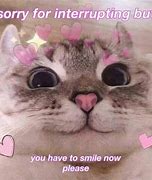Image result for Cute Memes to Send Your Crush
