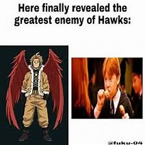 Image result for Hawks Memes