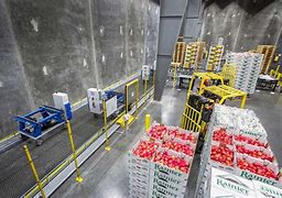Image result for Apple Cold Storage Warehouse