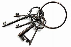 Image result for Stainless Steel Oval Key Ring