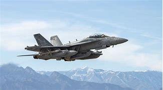 Image result for Navy EA-18G Growler