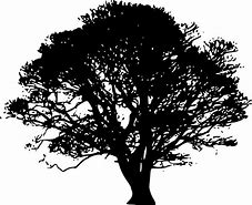 Image result for Gothic Tree Stencil Template