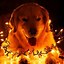 Image result for Cool Dog Backgrounds Light