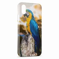 Image result for Coques iPhone 6 Perroquet