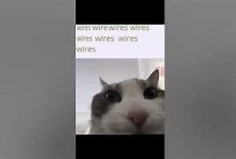 Image result for Buy Wireless Device Look Inside Meme
