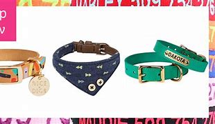Image result for Cool Dog Accessories