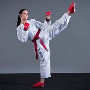 Image result for Karate Suit